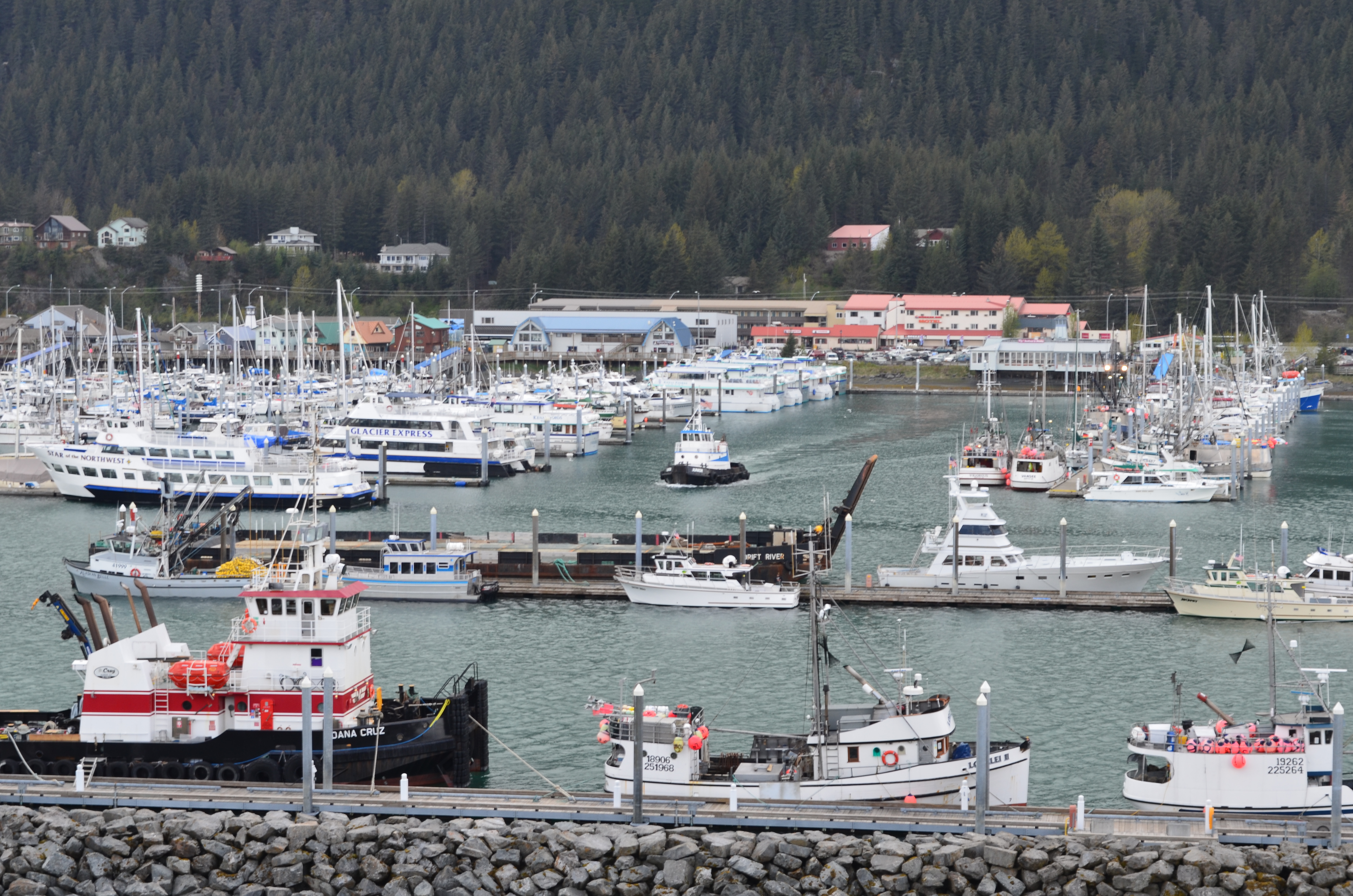 ./2017/08 - Alaska Cruise/06 - Seward/DSC_0633.JPG